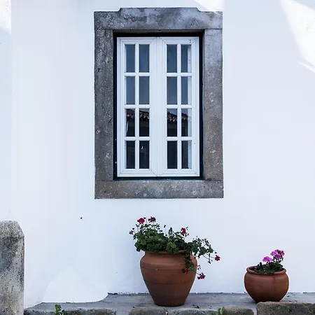 Villa Casa Do Poeta Venutra Bombarral
